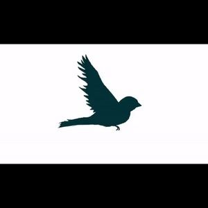 Meet your Posher, Sha